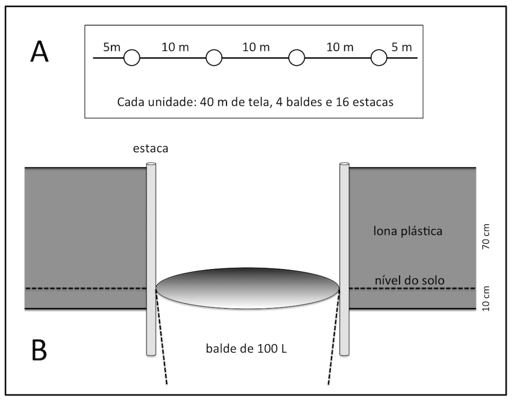 aiqs